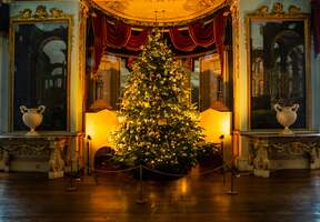 Christmas tree at Shugborough Hall